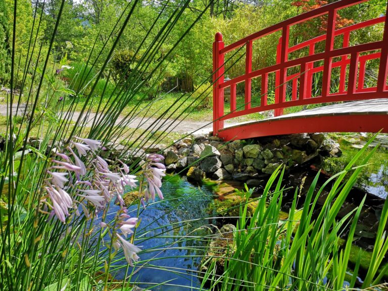 Le jardin japonais de Kamaishi