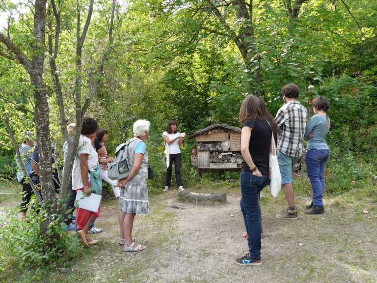 Visite guidée du Jardin des papillons Charlotte