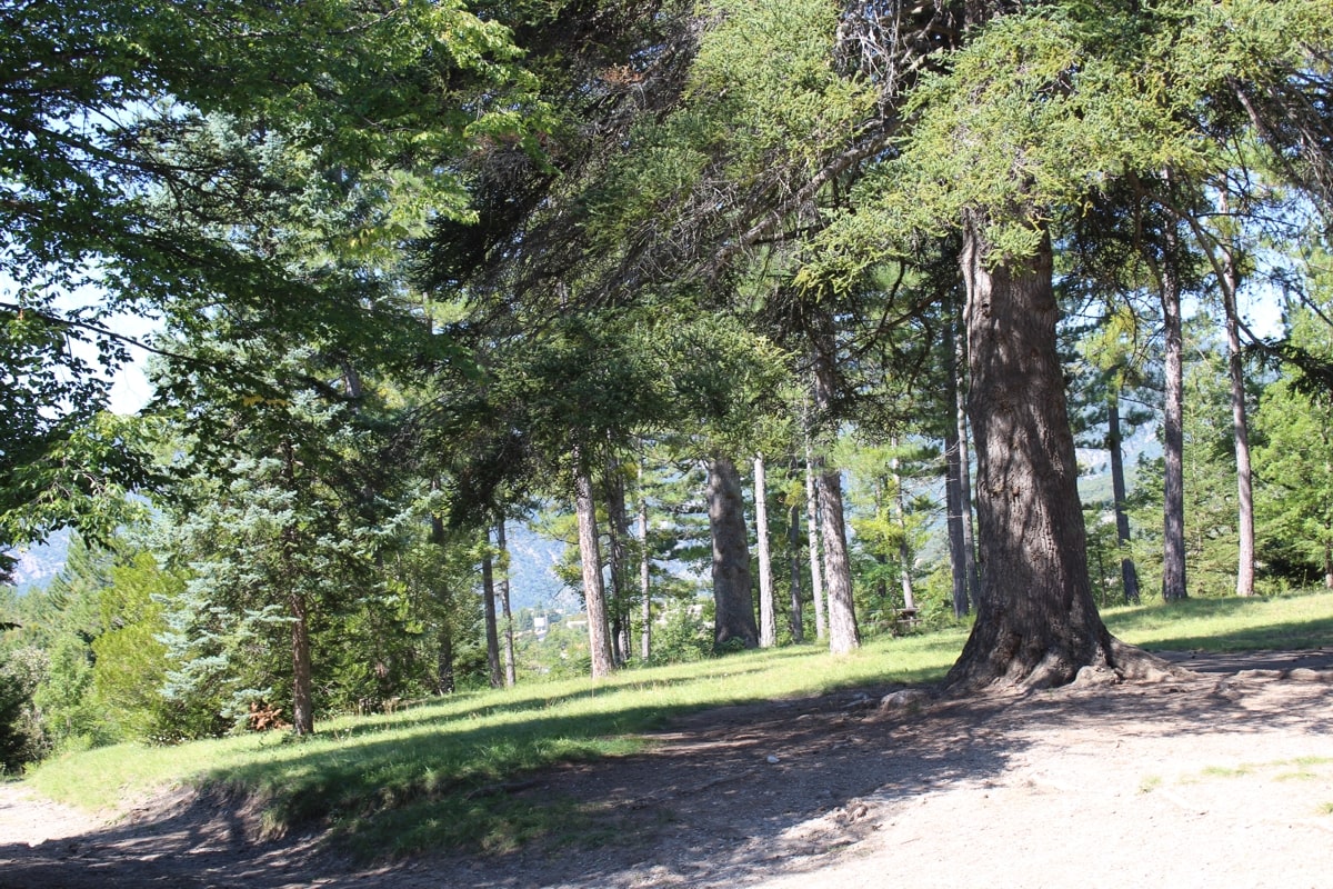 Le Parc forestier du Brusquet