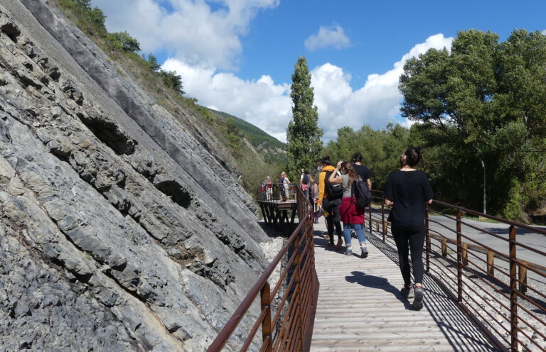 Visite guidée du Musée Promenade et de la dalle aux ammonites, site emblématique de l'UNESCO Géoparc de Haute-Provence