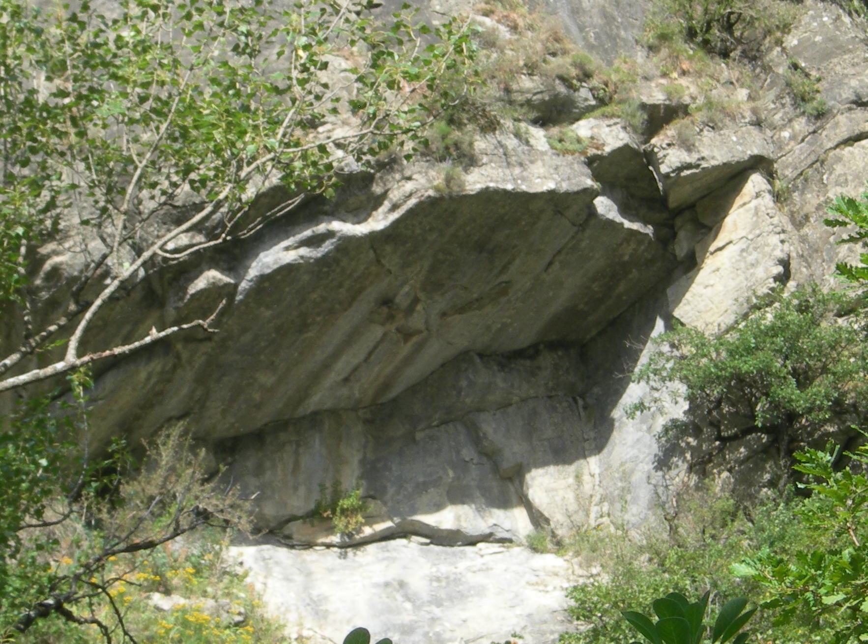 La Sirène du Bès_La Javie (© ©UGPH)