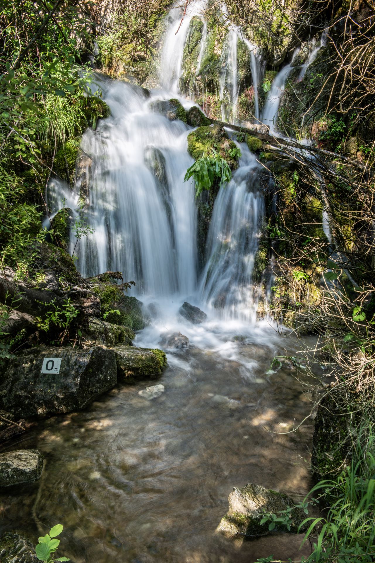 La source de Fontchaude_La Javie (© ©Michel.Boutin)