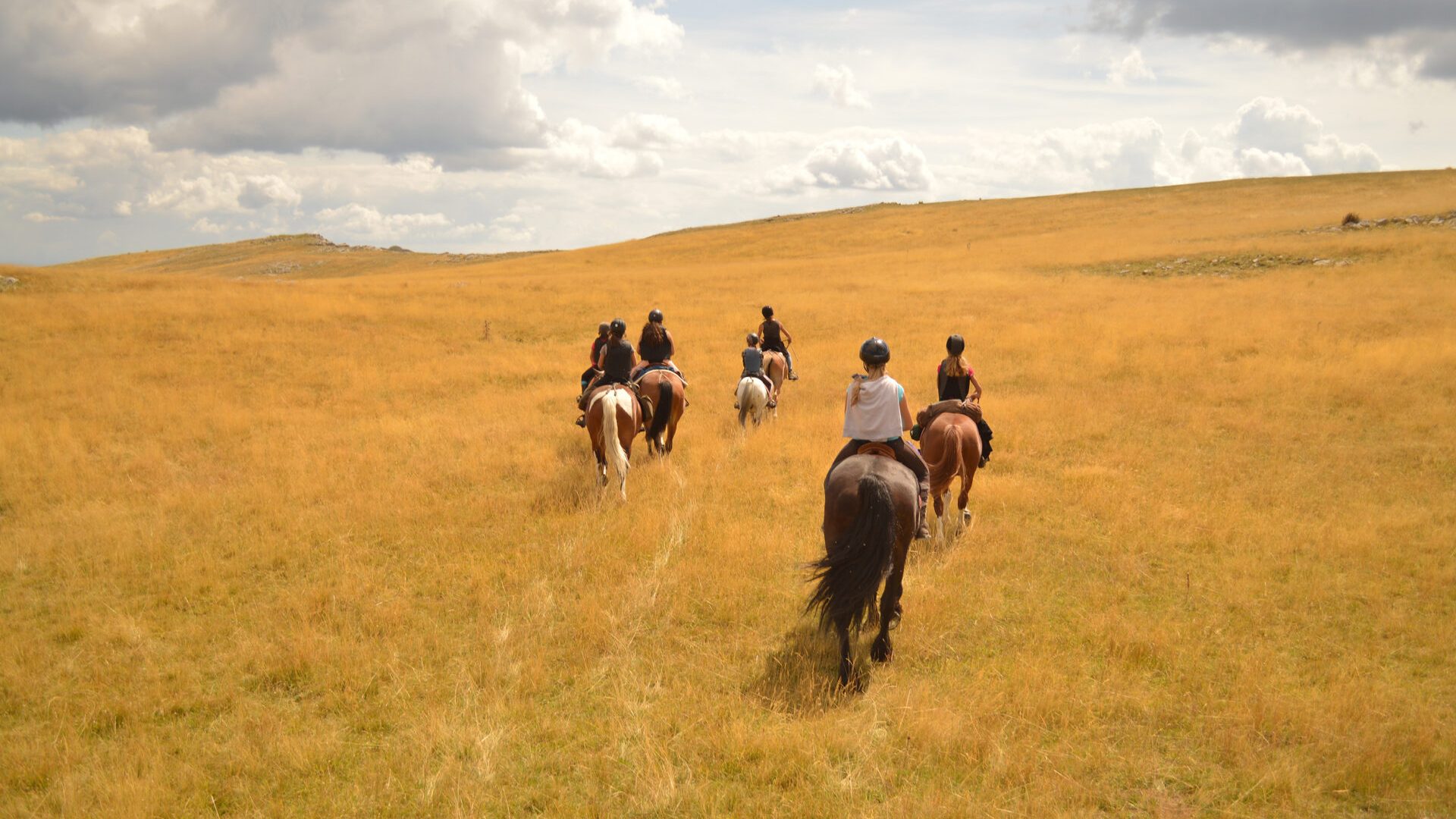 Les Chevaux de Roquépine - Randonnée à cheval (© Marine Herbomez)