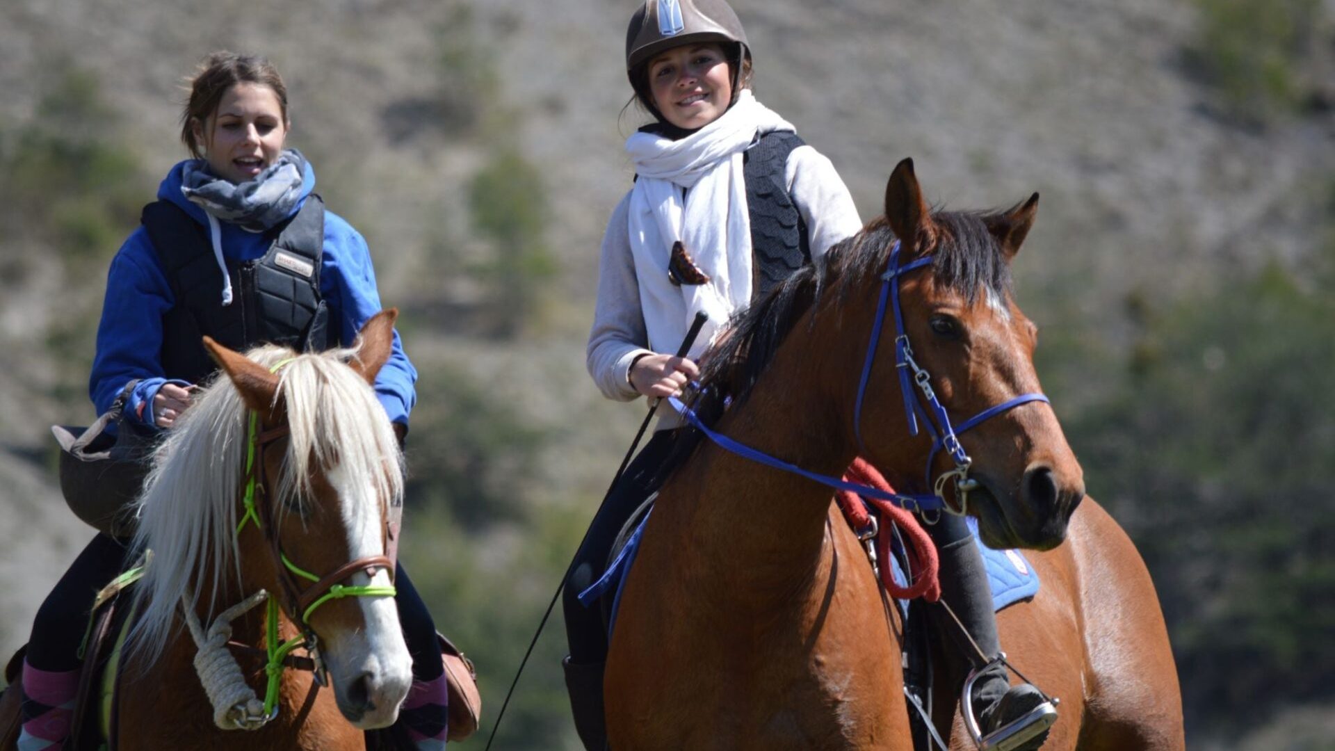 Les Chevaux de Roquépine - Cheval (© Marine Herbomez)