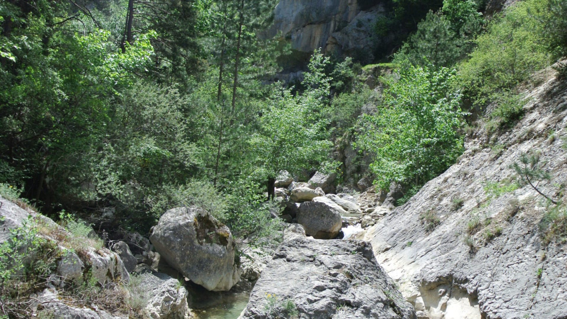 Les gorges de Trévans - Les gorges de Trévans (© Elizaveta Mochalova)