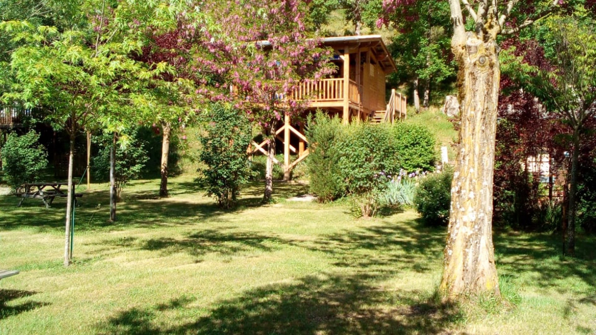 Camping du Moulin de Thoard - Camping du Moulin de Thoard (© F. & M. MARION)