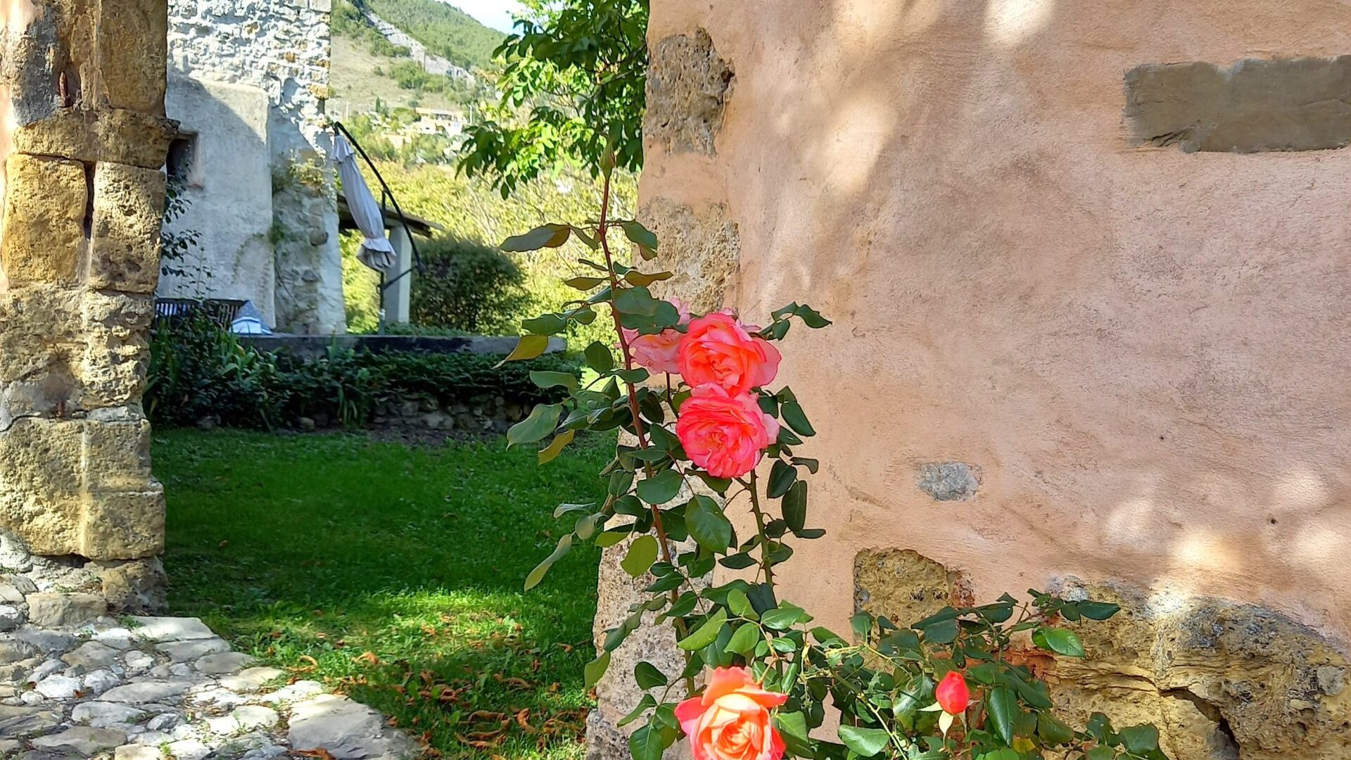 Appartement T2 La Bergerie - Jardin (© SARL Les robines vert-bleu)