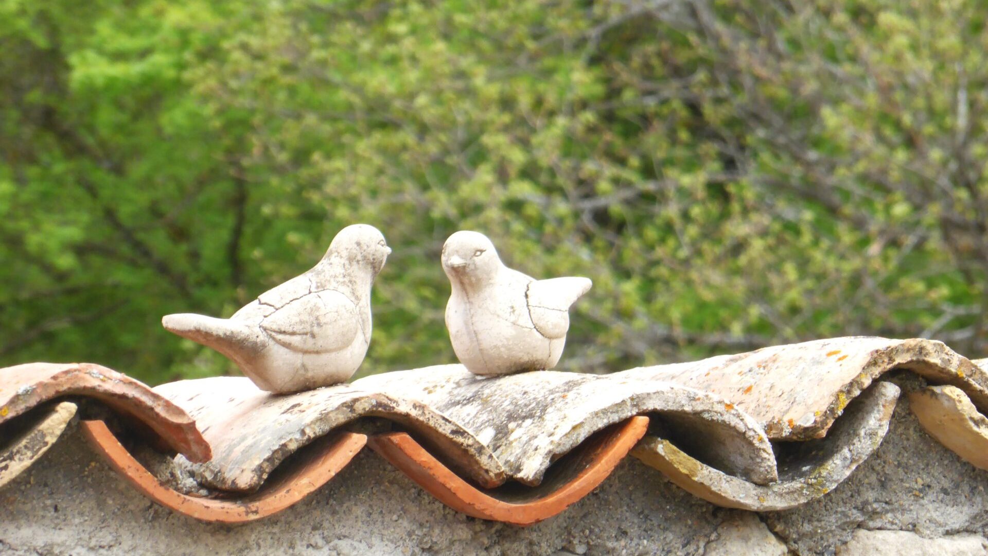 Hébergement Insolite Le Pigeonnier - Détail de l'extérieur (© SARL Les robines vert-bleu)