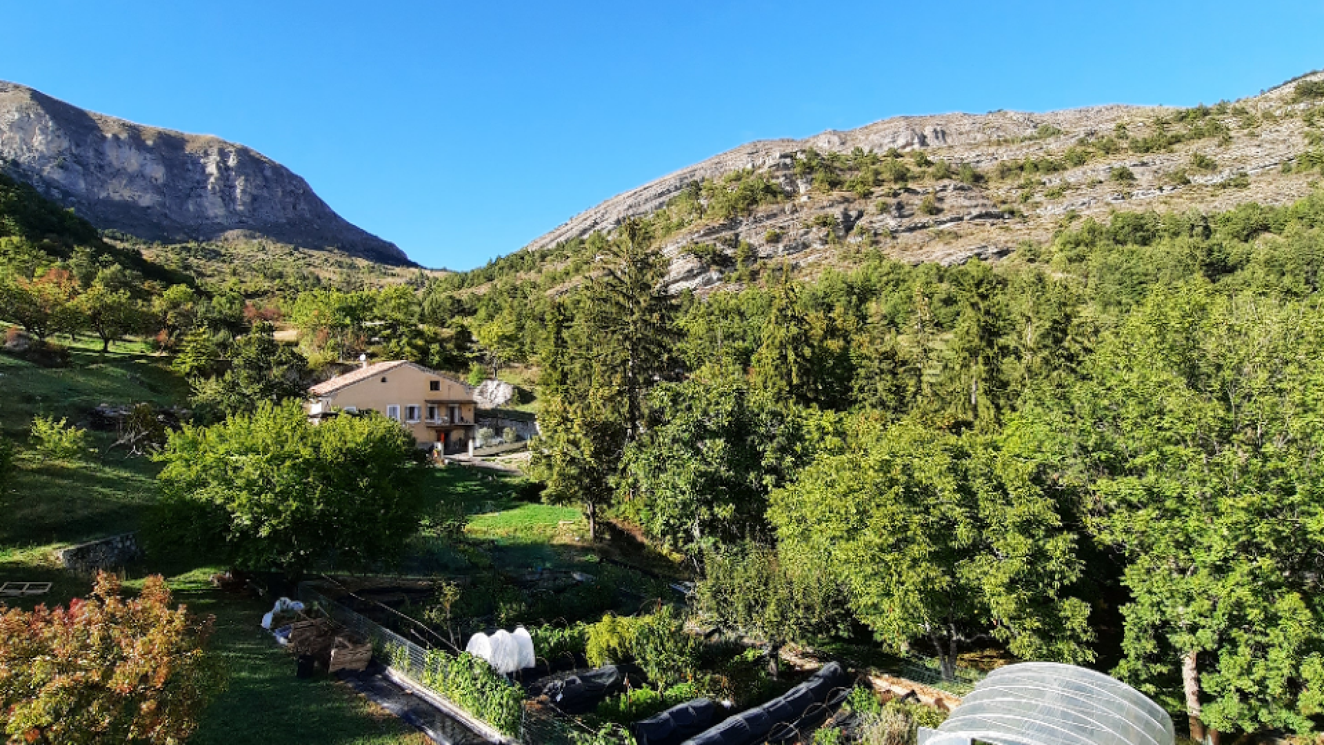 Le Champ des Ombelles - Le Champ des Ombelles (© Joelle Stordeur)