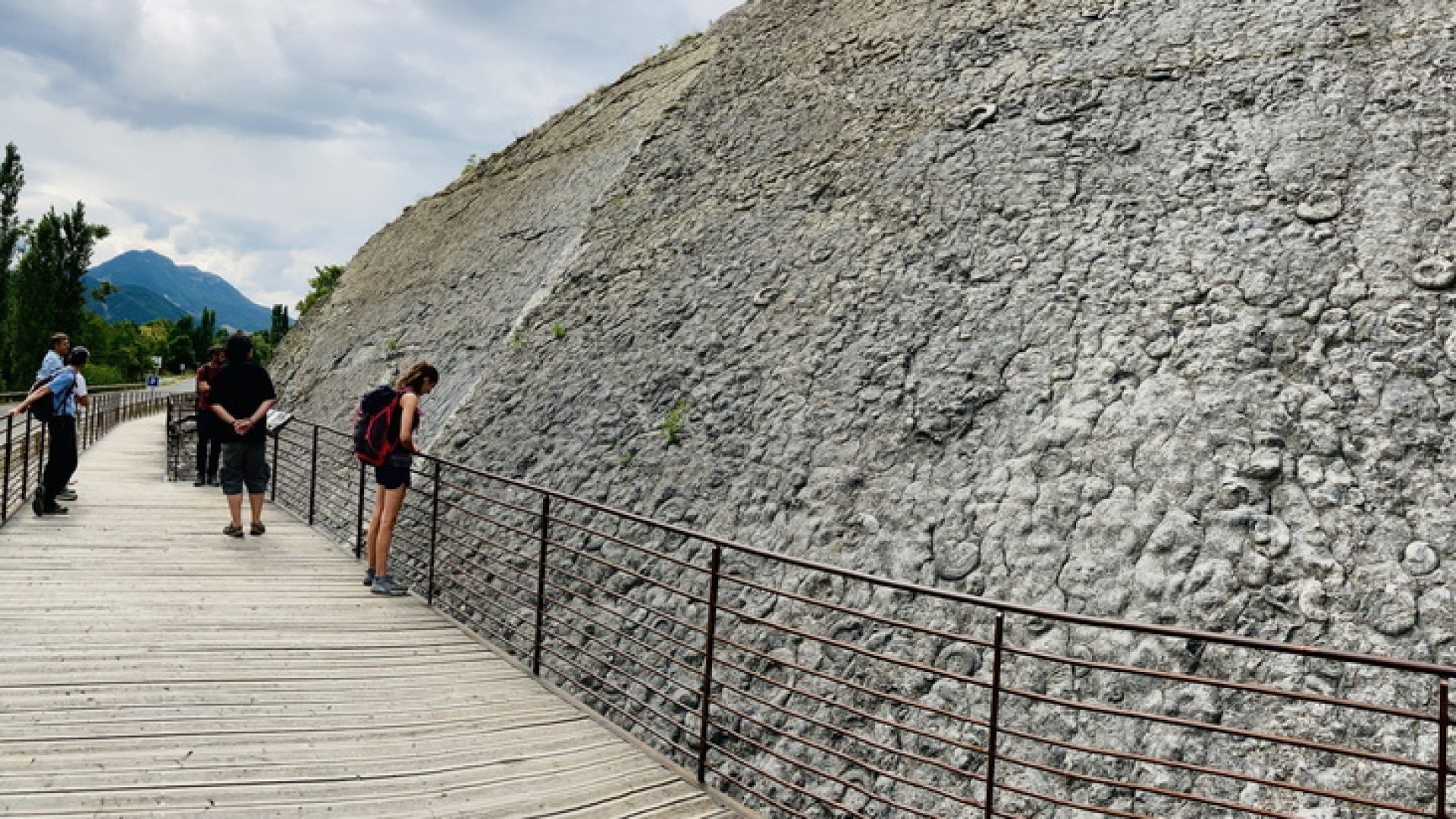 La dalle aux ammonites - la dalle aux ammonites (© OT DLB)