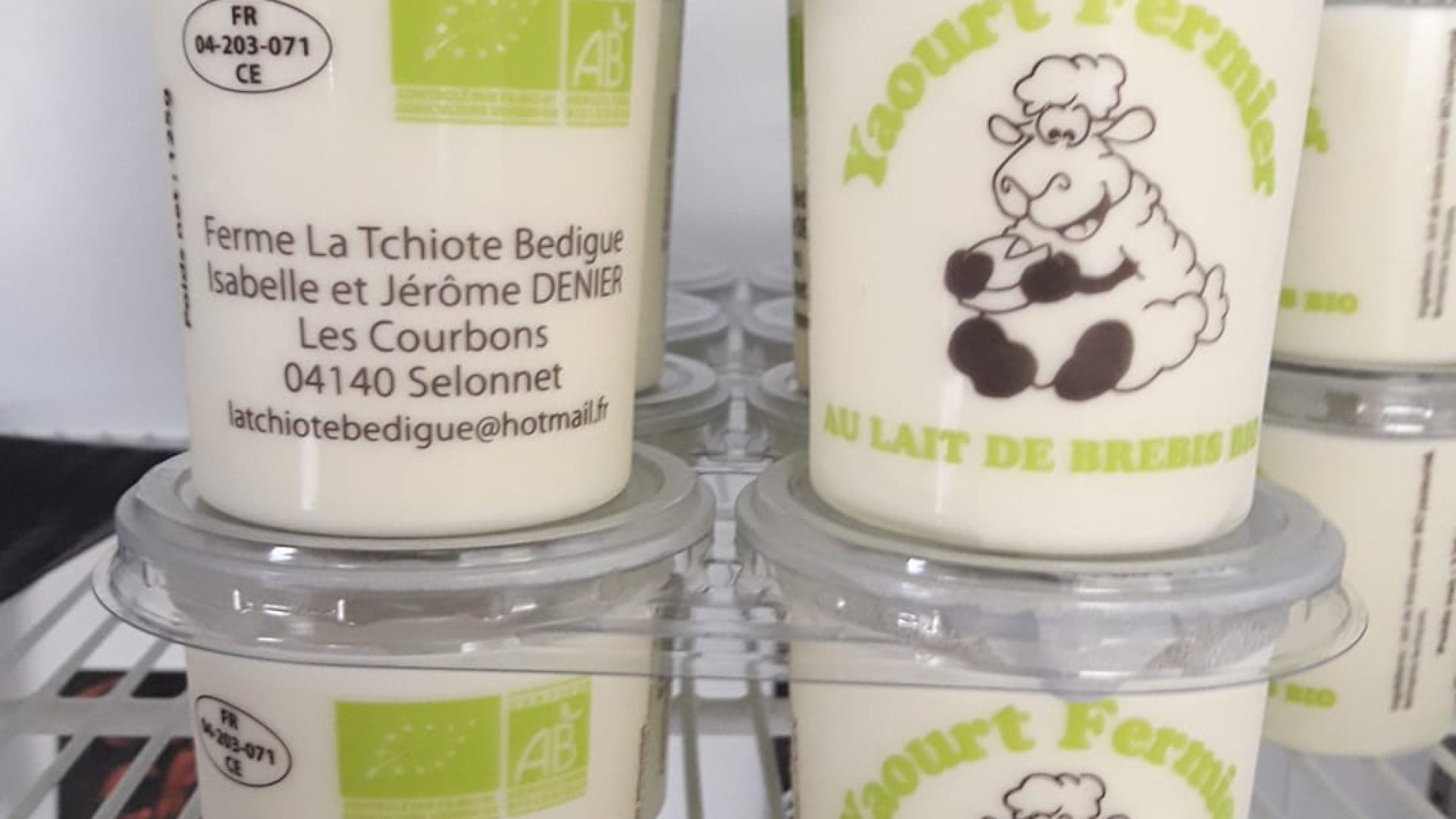 GAEC La Tchiote Bédigue - Yaourts au lait de brebis (© GAEC La Tchiote Bédigue)