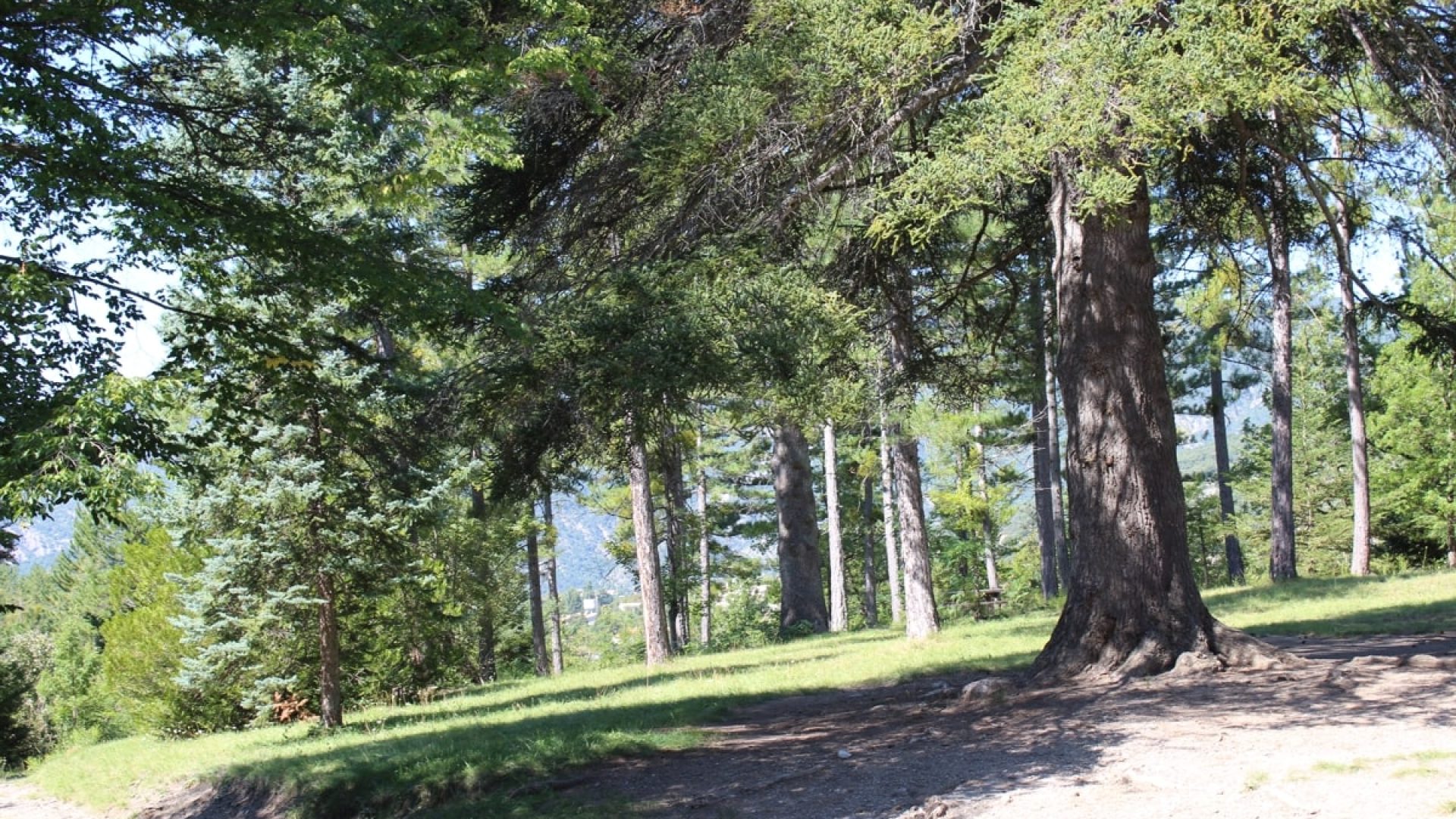 Le Parc forestier du Brusquet