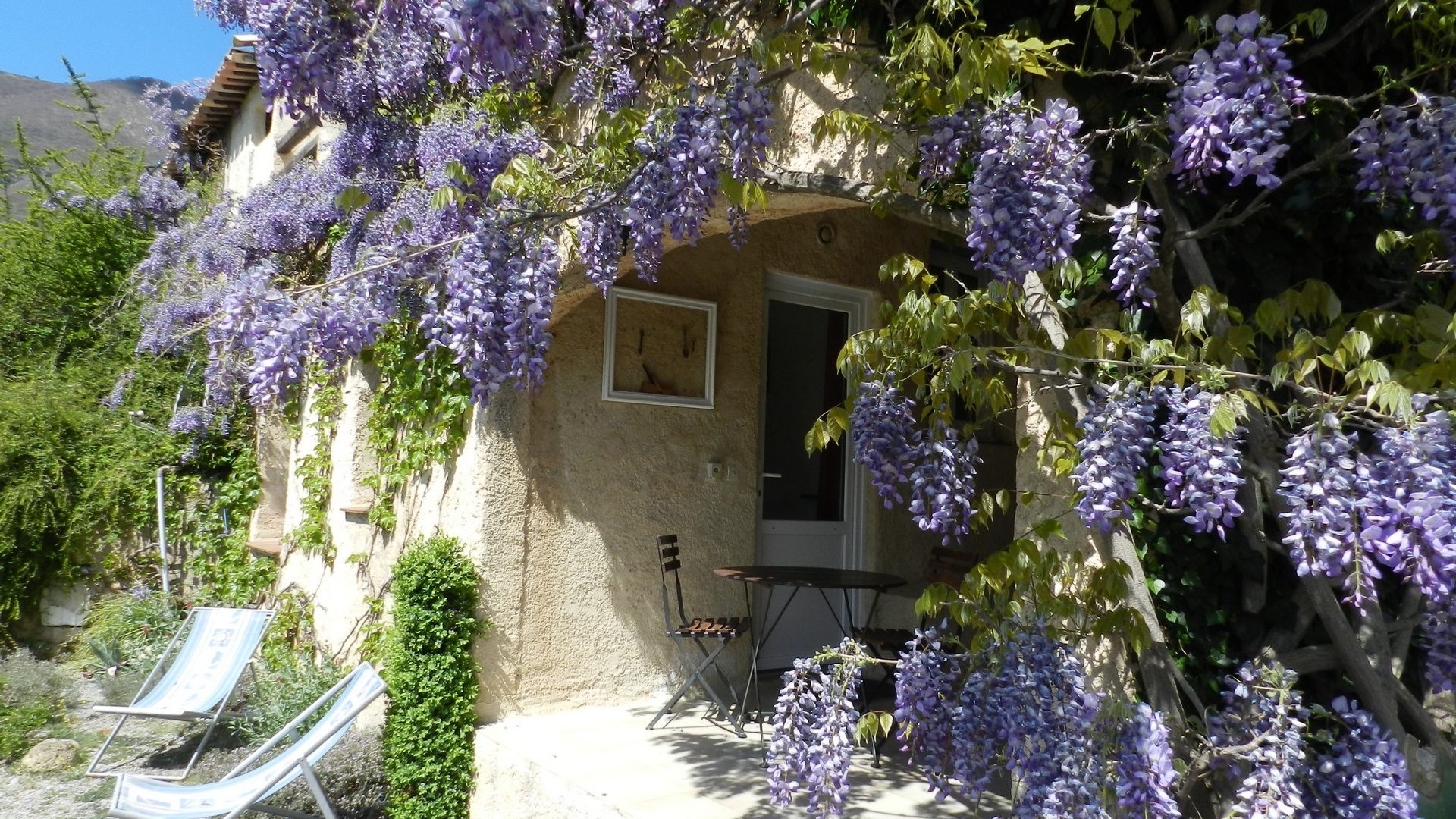 Gite  Lavande - Terrasse (© Chrisitne COLLIEUX)