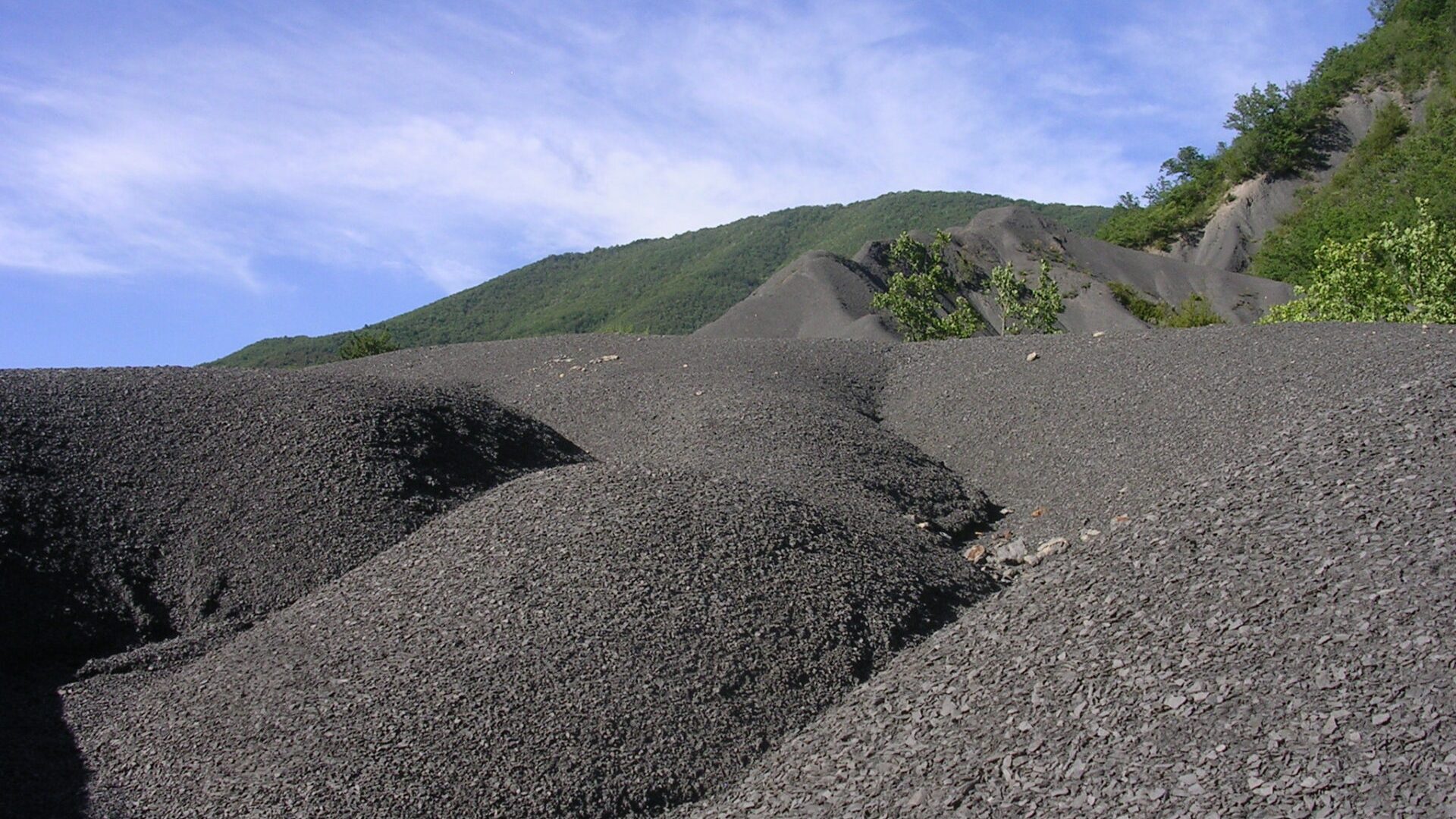 Gite  Lavande les robines - La Robine (© Christine COLLIEUX)