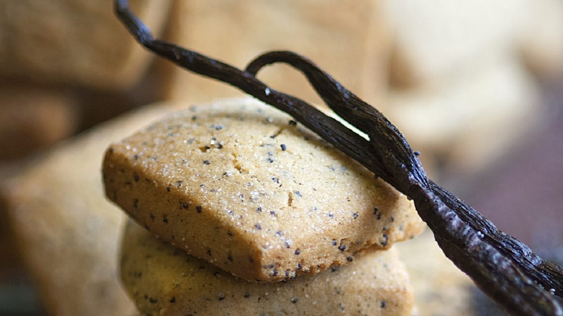 Cours de pâtisserie à la Boîte à Biscuits_Digne-les-Bains - La Boîte à Biscuits (© Michel Boutin)