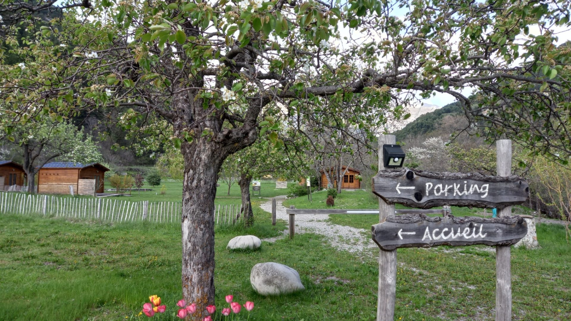 entrée du camping et parking - entrée du camping et parking (© Nina Théaudin)