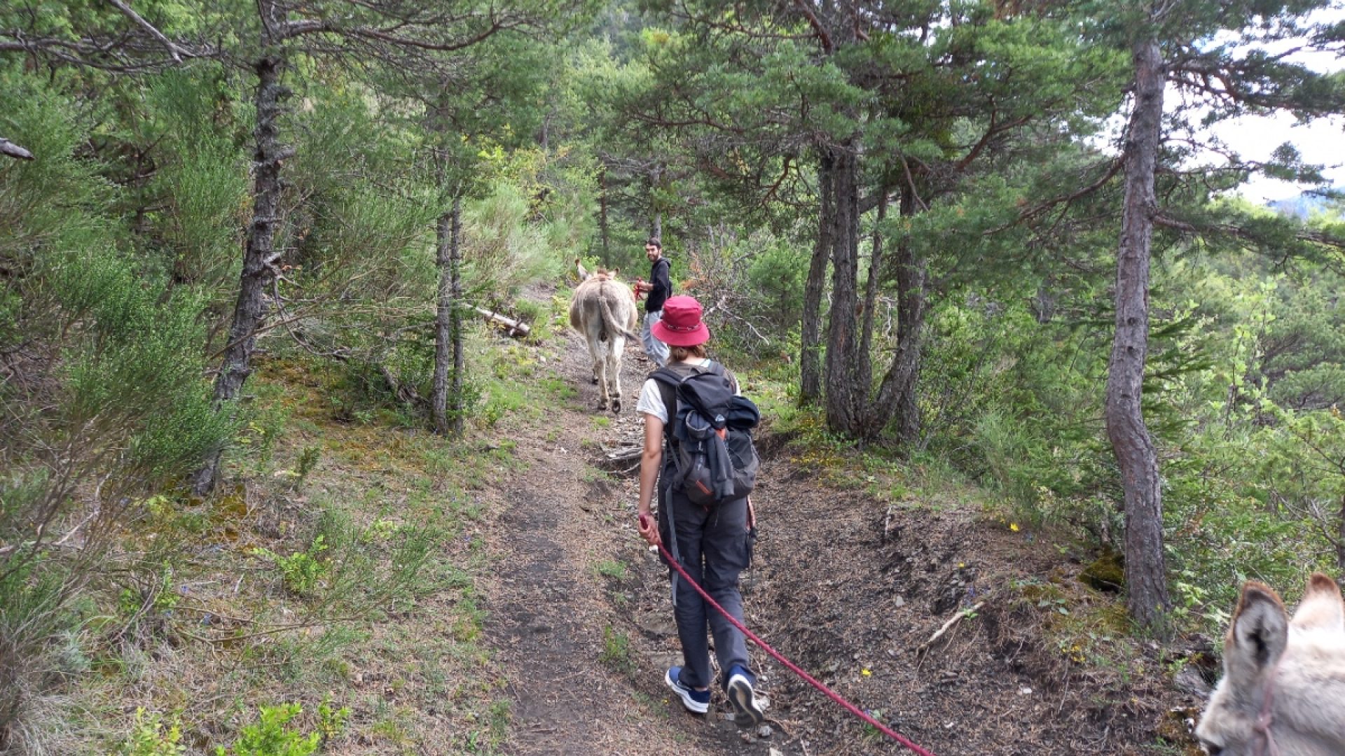 Rando avec nos ânes - Rando avec nos ânes (© Nina Théaudin)