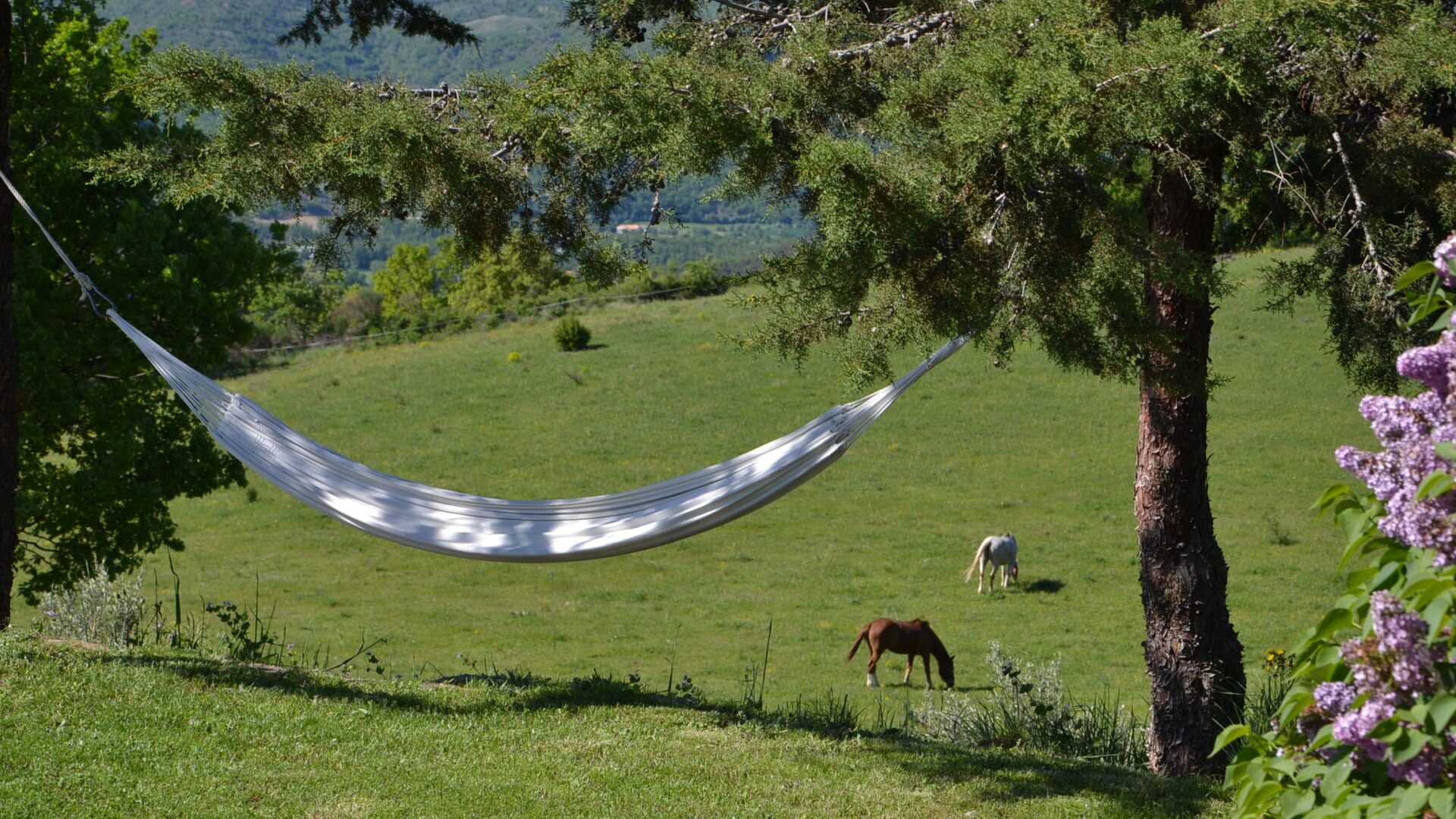 Le Vieil Aiglun - coin détente - Le Vieil Aiglun - coin détente (© Charles SPETH)