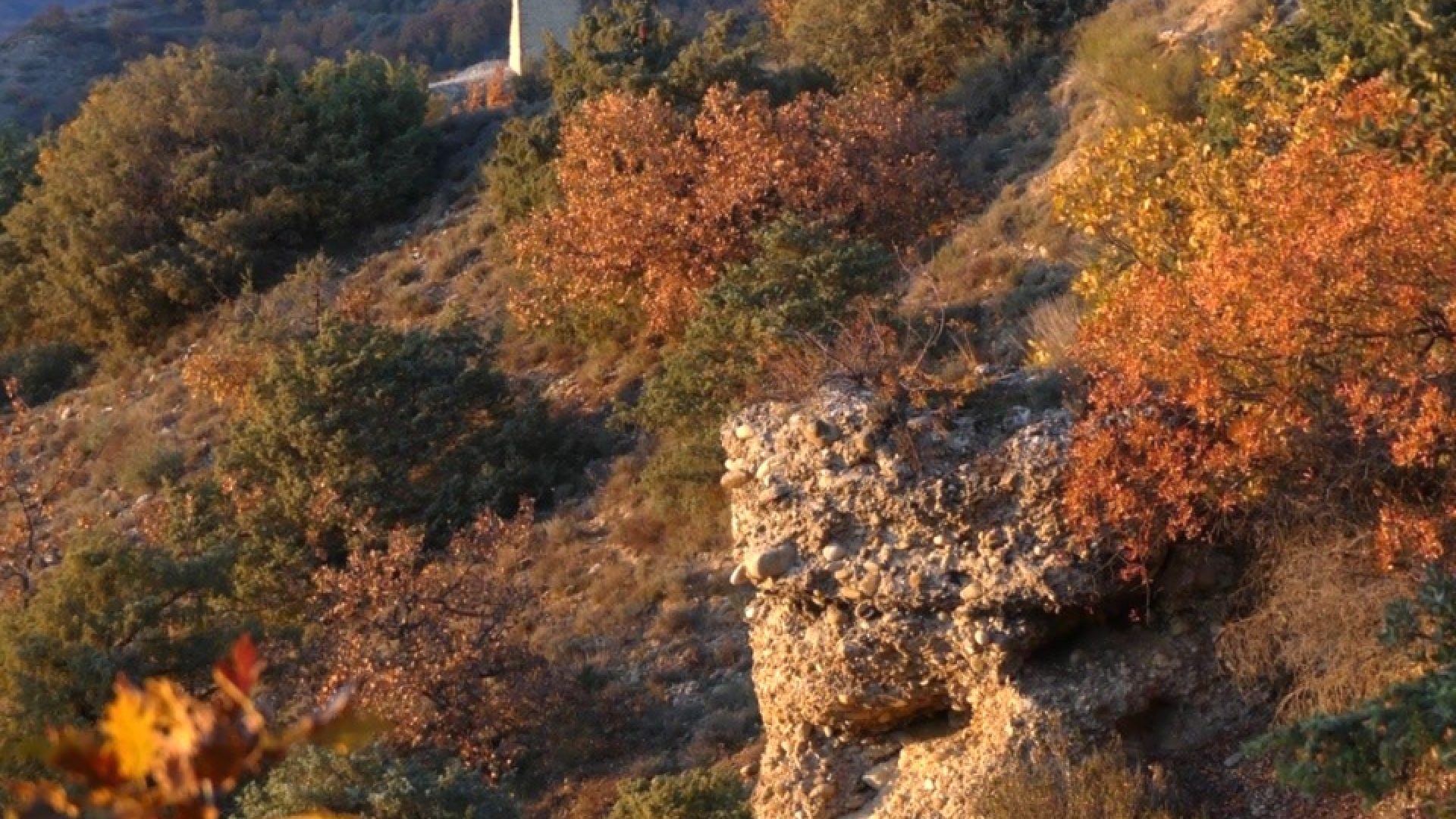 Les conglomérats de Valensole_Valensole (© ©UGHP)