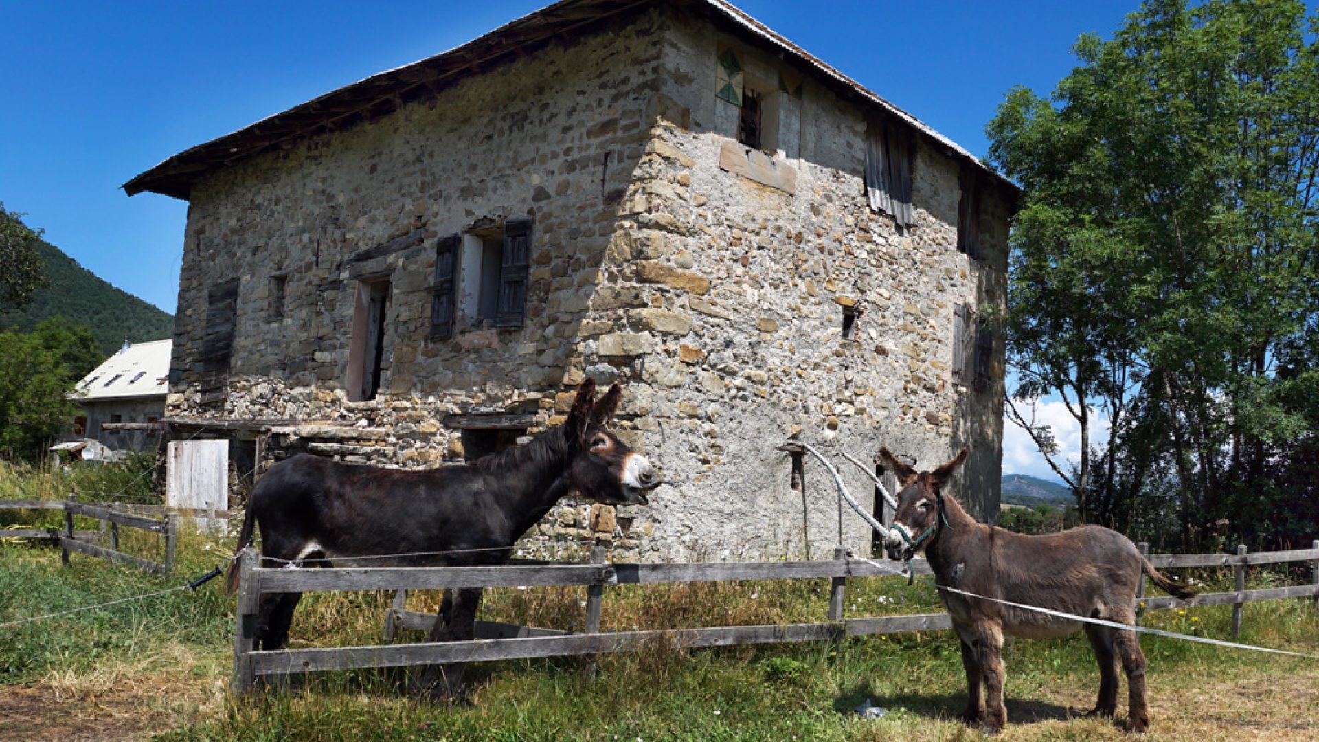 la Maison du Mulet - la Maison du Mulet (© Assoc. la Maison du Mulet)