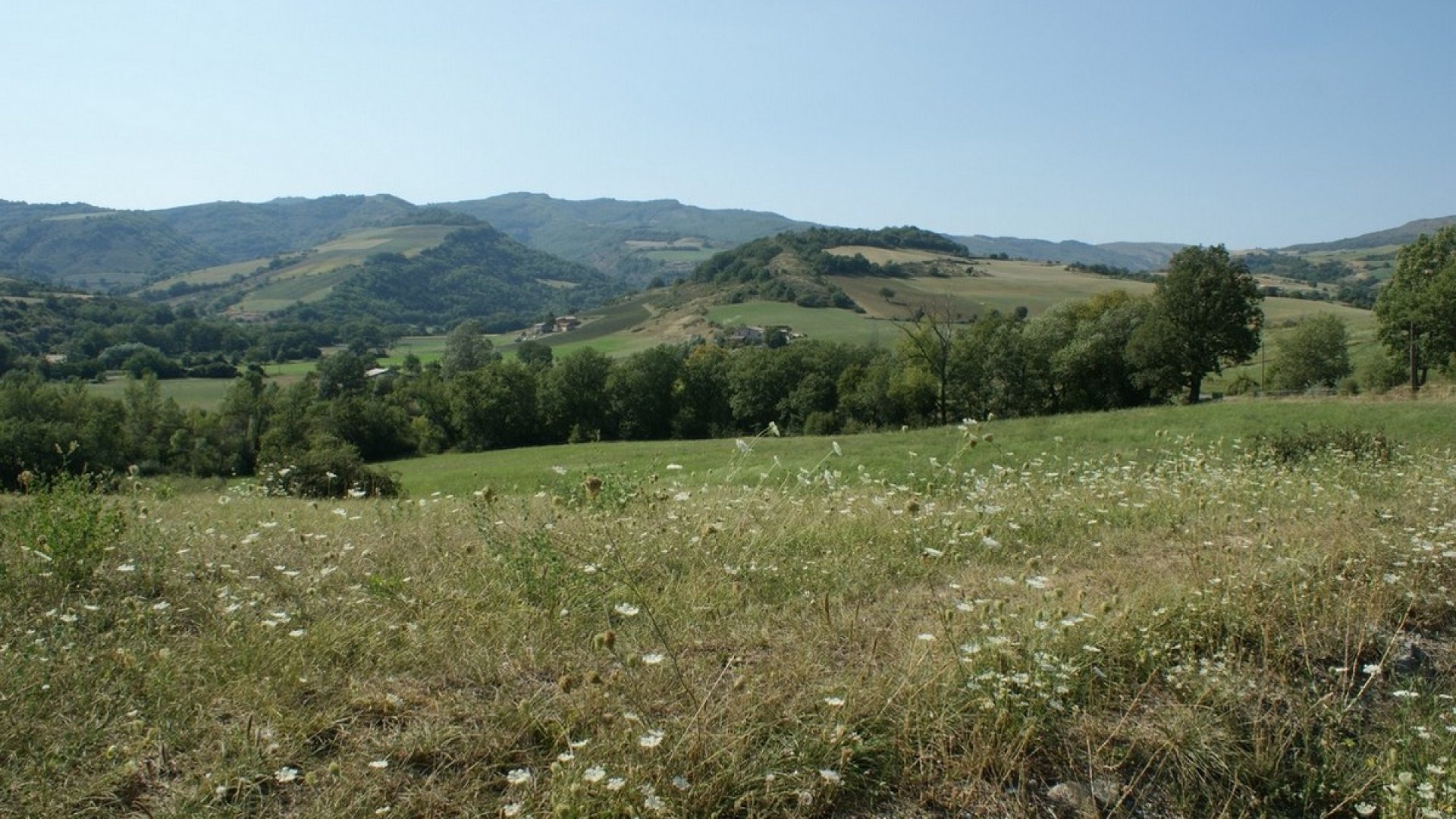 Camping du Moulin de Thoard - Vue sur les champs (© F. & M. MARION)