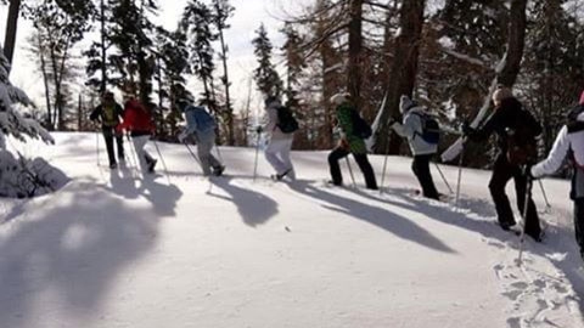 Accompagnateur en Montagne Louis Teyssier - Groupe raquettes (© Louis Teyssier)