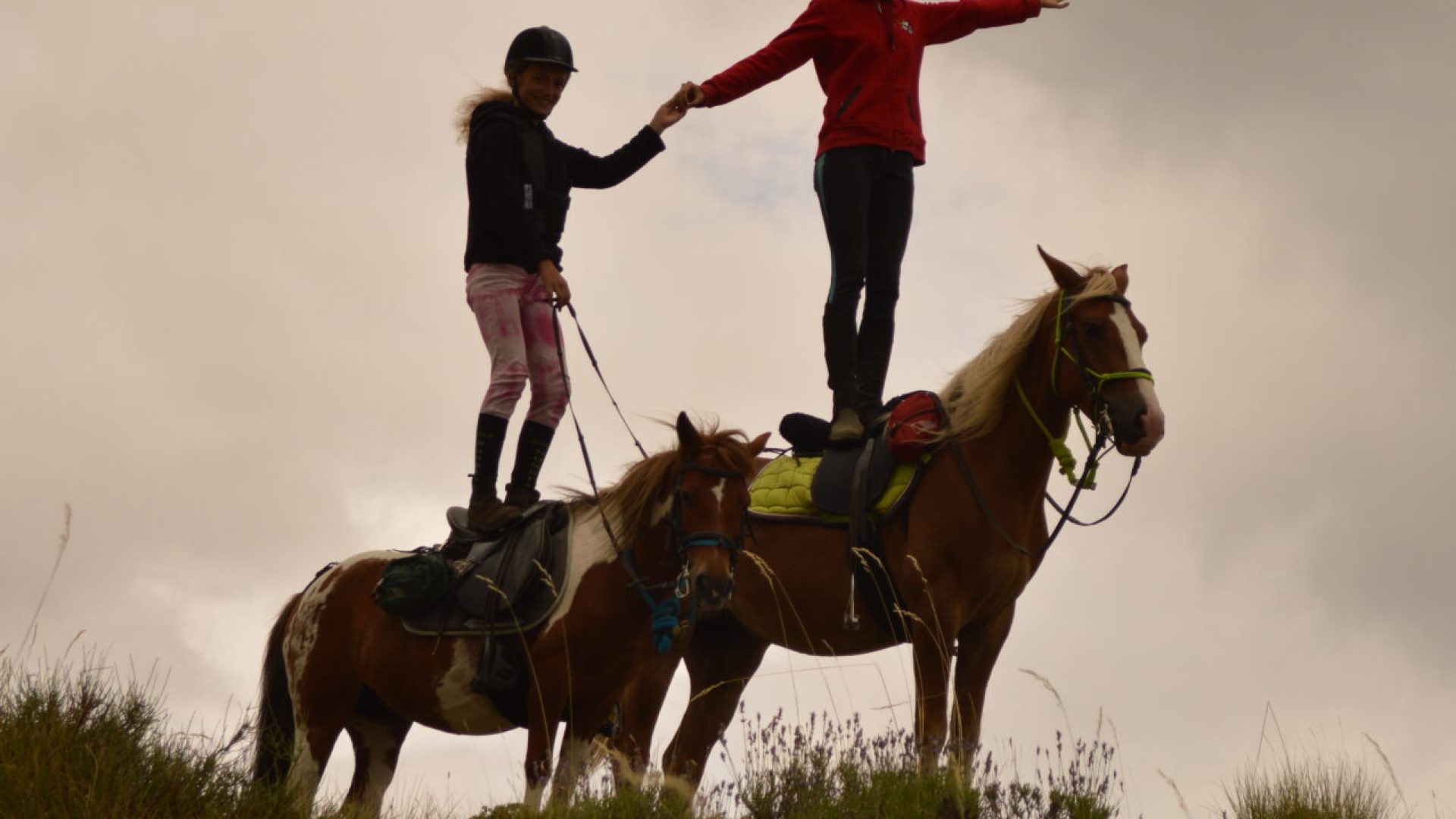 Les Chevaux de Roquépine - Voltige (© Marine Herbomez)