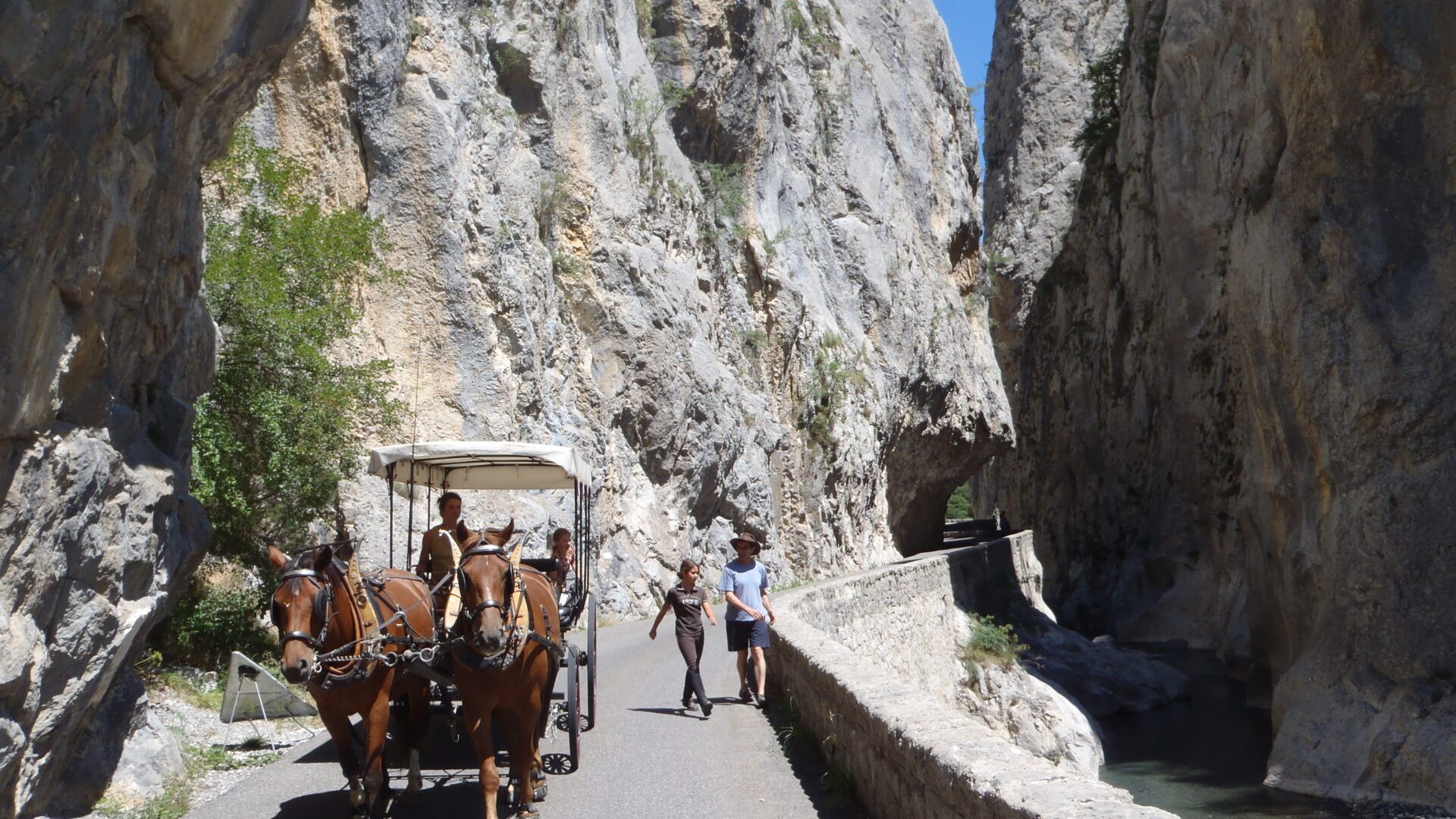 Les Chevaux de Roquépine - Promenade en calèche (© Marine Herbomez)