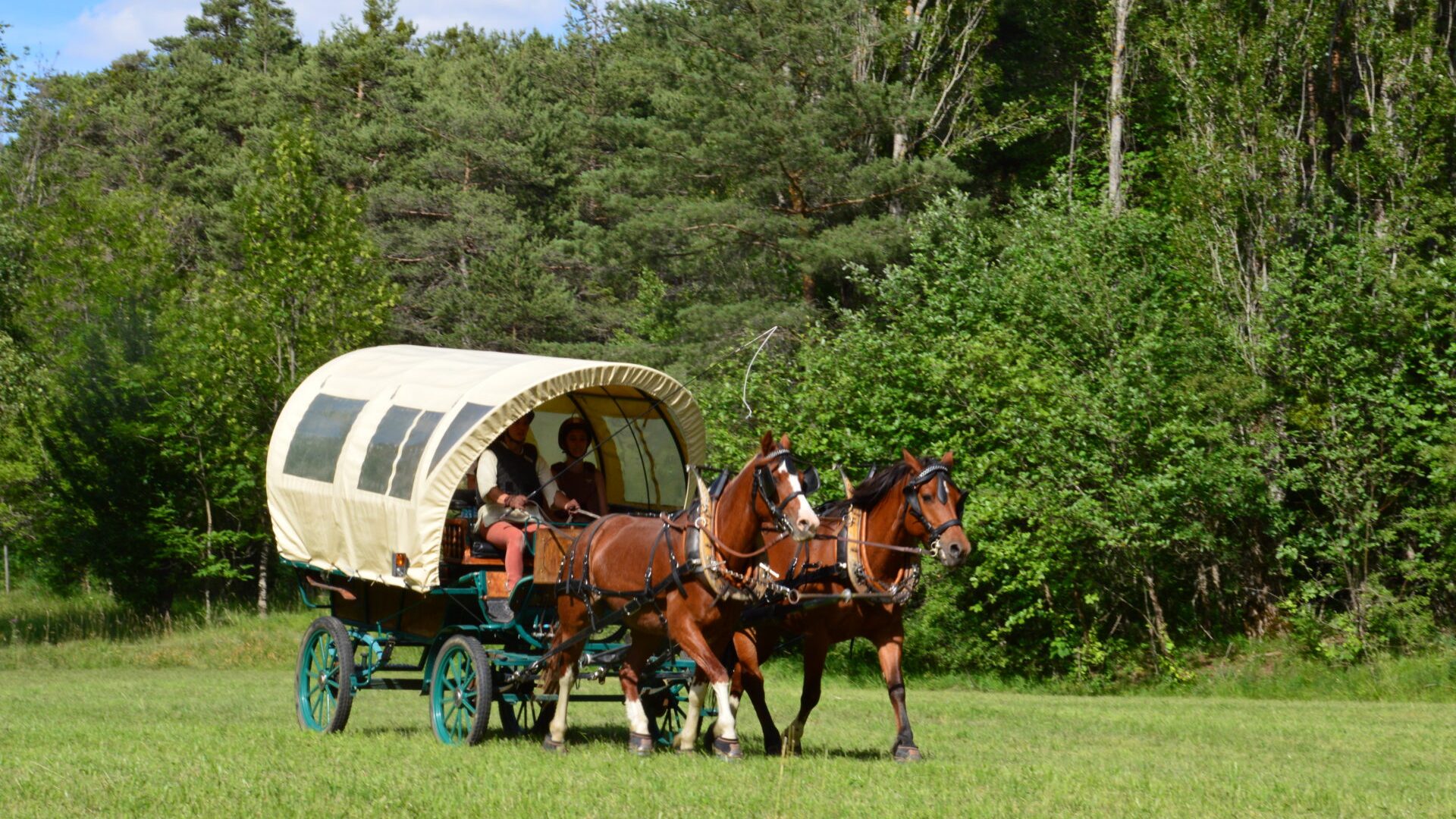 Les Chevaux de Roquépine - Promenade en calèche (© Marine Herbomez)