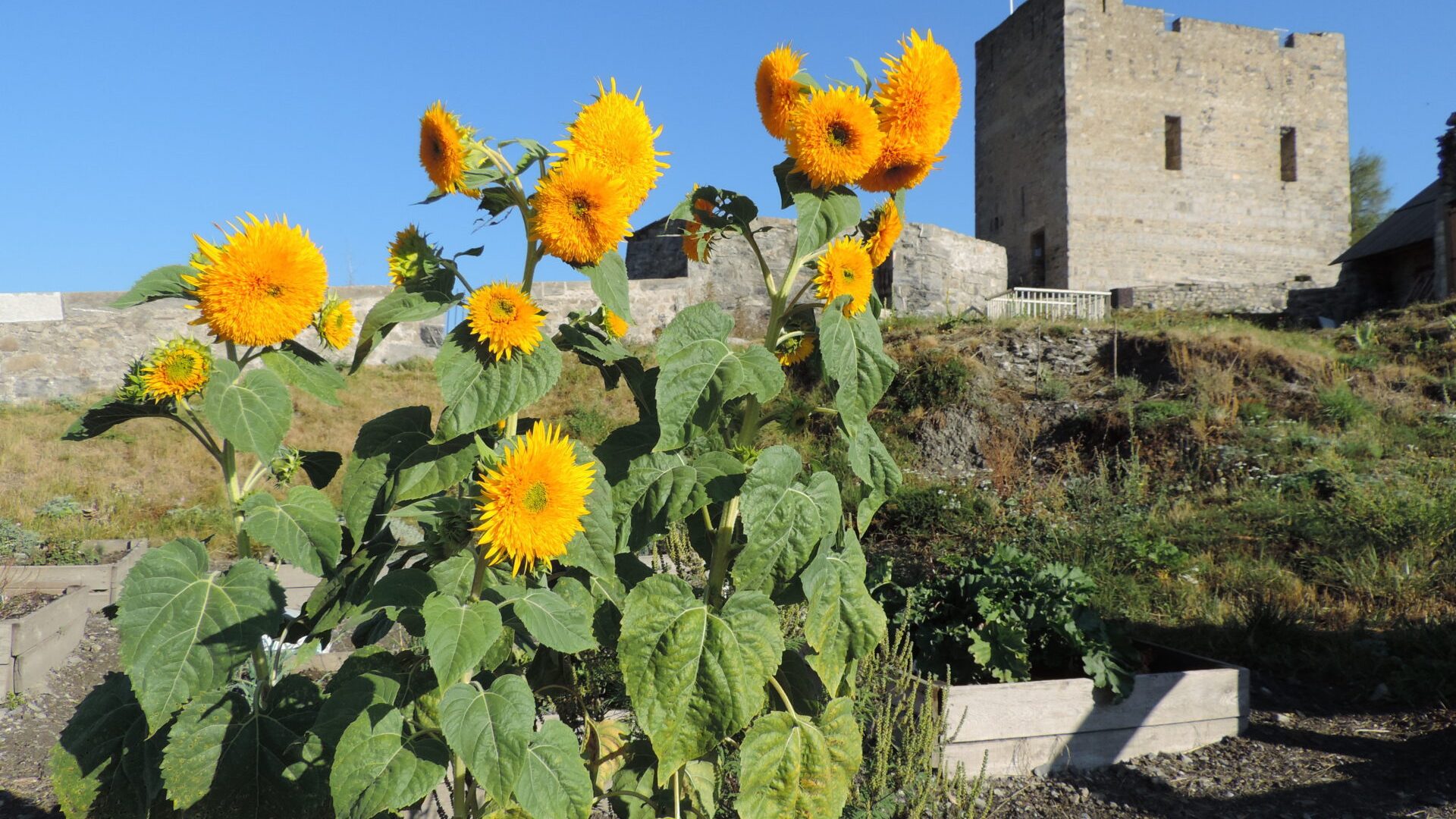 Citadelle Vauban - Citadelle Vauban (© OT BSP)