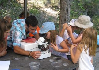 Atelier-Eau-et-biodiversité-avec-les-scolaires-de-cycle-2