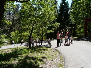 Atelier-La-vie-des-arbres-avec-les-maternelles