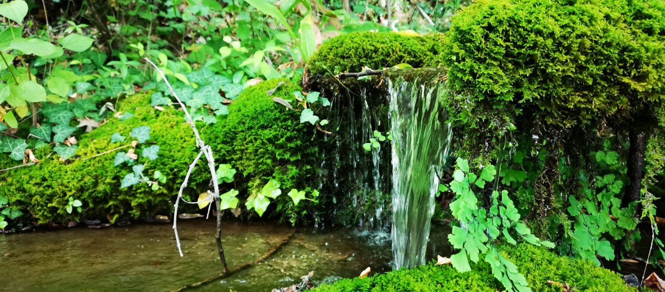 La source Saint Benoît 1