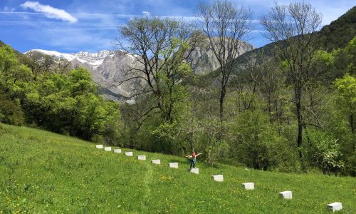 Valorisation touritique de l'art dan la nature