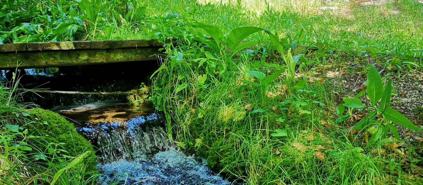 la source Saint Benoît 2